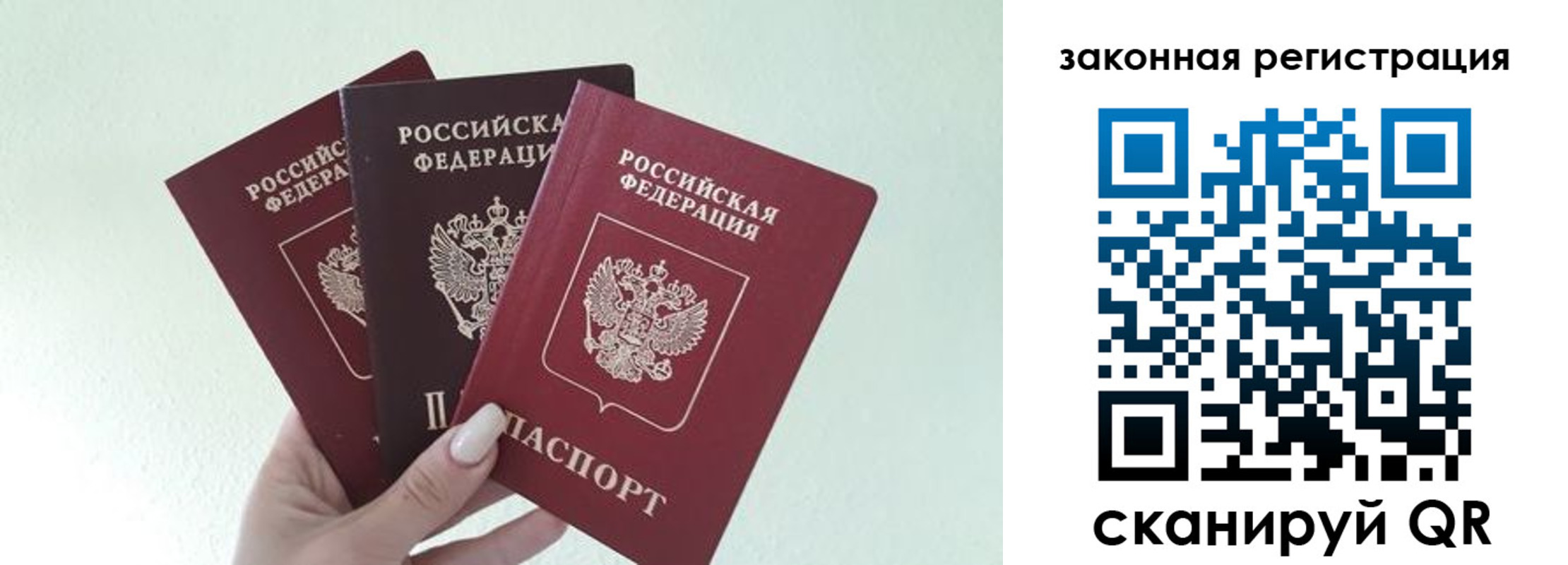прописка 2025 в Судогде